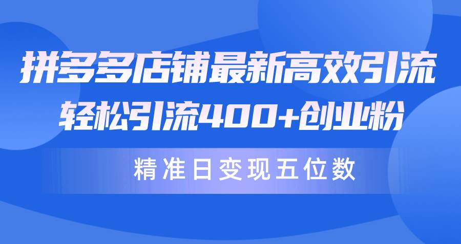 拼多多店铺最新高效引流术，轻松引流400+创业粉，精准日变现五位数！-九章网创