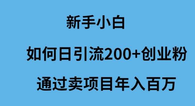 新手小白如何日引流200+创业粉通过卖项目年入百万-九章网创