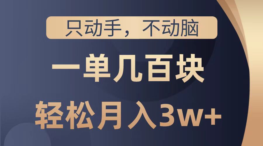 只动手不动脑，一单几百块，轻松月入2w+，看完就能直接操作，详细教程-九章网创