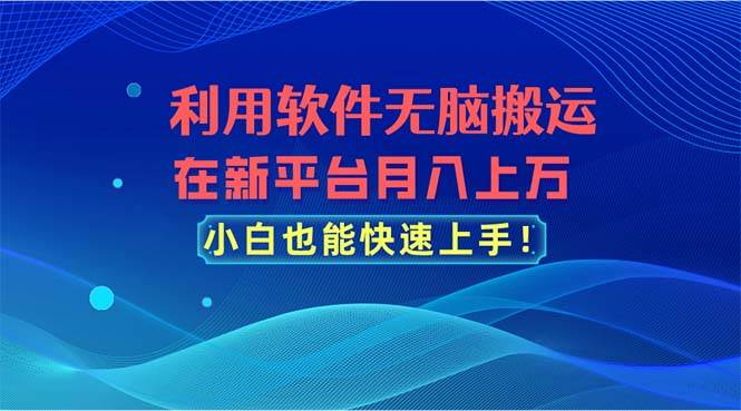 利用软件无脑搬运，在新平台月入上万，小白也能快速上手-九章网创