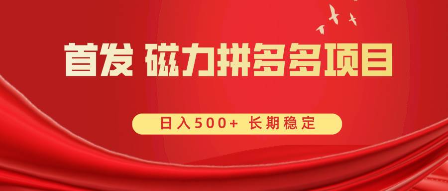 图片[1]-首发 磁力拼多多自撸  日入500+-九章网创