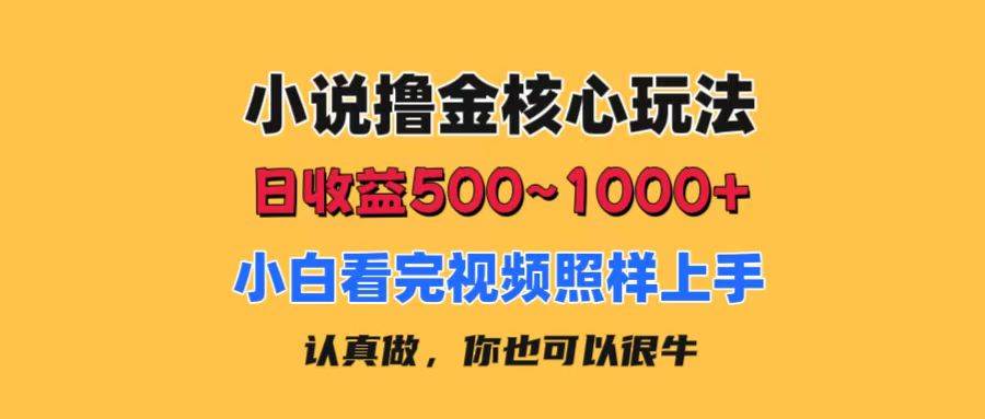 小说撸金核心玩法，日收益500-1000+，小白看完照样上手，0成本有手就行-九章网创