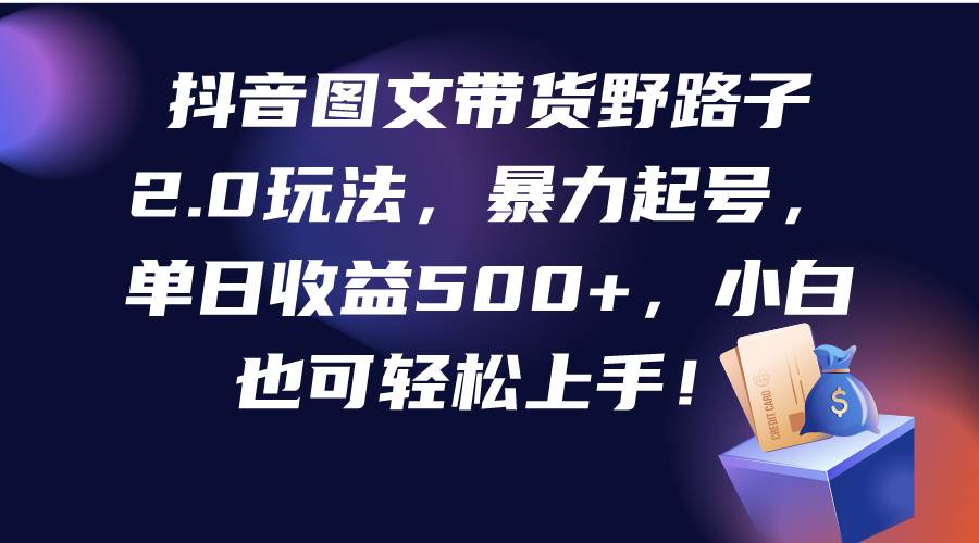 抖音图文带货野路子2.0玩法，暴力起号，单日收益500+，小白也可轻松上手！-九章网创