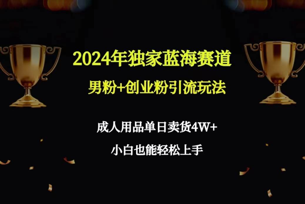 2024年独家蓝海赛道男粉+创业粉引流玩法，成人用品单日卖货4W+保姆教程-九章网创