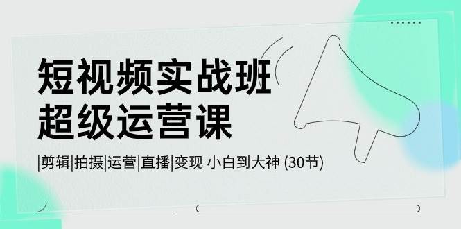 短视频实战班-超级运营课，|剪辑|拍摄|运营|直播|变现 小白到大神 (30节)-九章网创