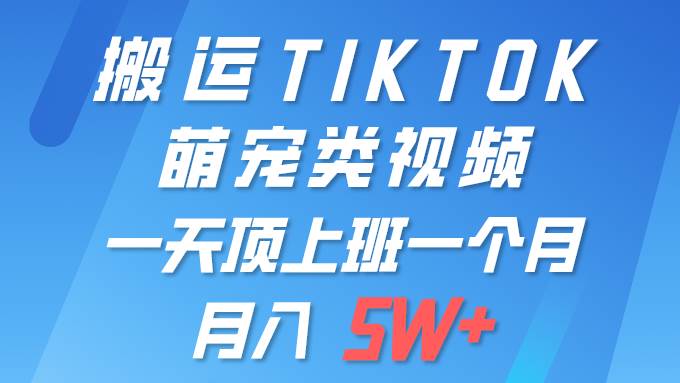 图片[1]-一键搬运TIKTOK萌宠类视频 一部手机即可操作 所有平台均可发布 轻松月入5W+-九章网创