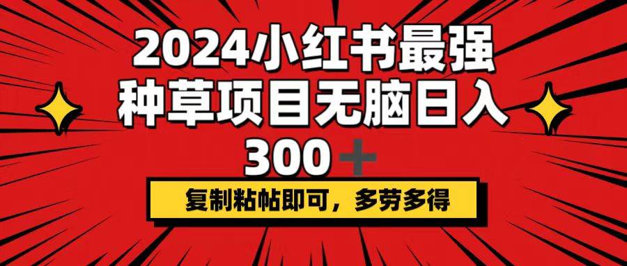 2024小红书最强种草项目，无脑日入300+，复制粘帖即可，多劳多得-九章网创