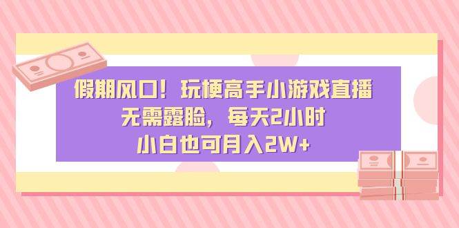 假期风口！玩梗高手小游戏直播，无需露脸，每天2小时，小白也可月入2W+-九章网创