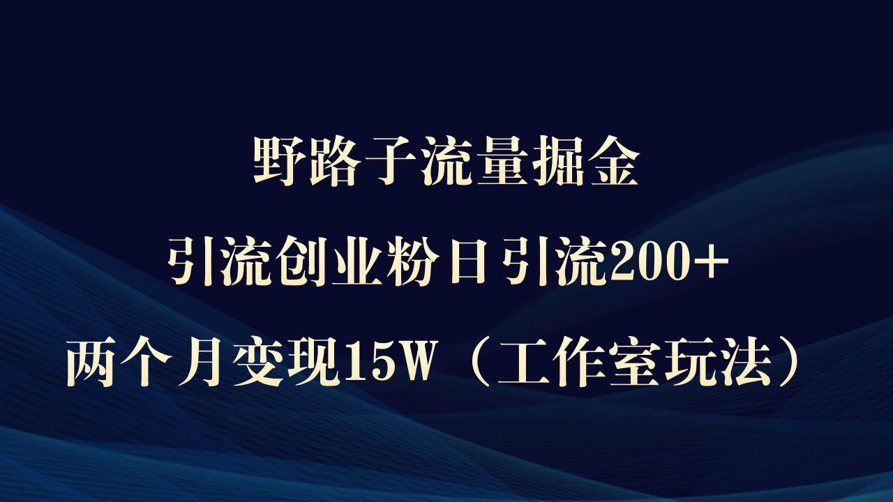 图片[1]-野路子流量掘金，引流创业粉日引流200+，两个月变现15W（工作室玩法））-九章网创