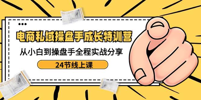 电商私域-操盘手成长特训营：从小白到操盘手全程实战分享-24节线上课-九章网创