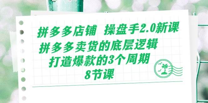 拼多多店铺 操盘手2.0新课，拼多多卖货的底层逻辑，打造爆款的3个周期-8节-九章网创