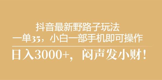 抖音最新野路子玩法，一单35，小白一部手机即可操作，，日入3000+，闷…-九章网创