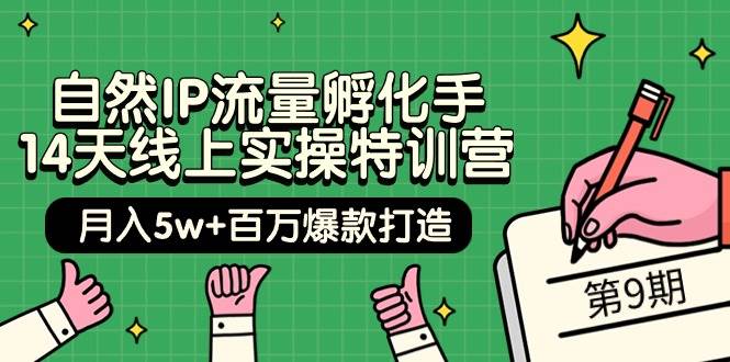 自然IP流量孵化手 14天线上实操特训营【第9期】月入5w+百万爆款打造 (74节)-九章网创