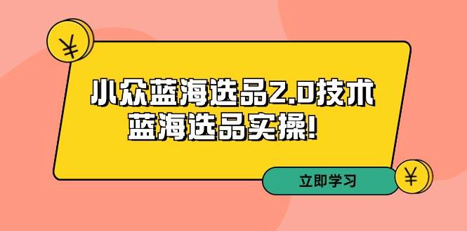 拼多多培训第33期：小众蓝海选品2.0技术-蓝海选品实操！-九章网创