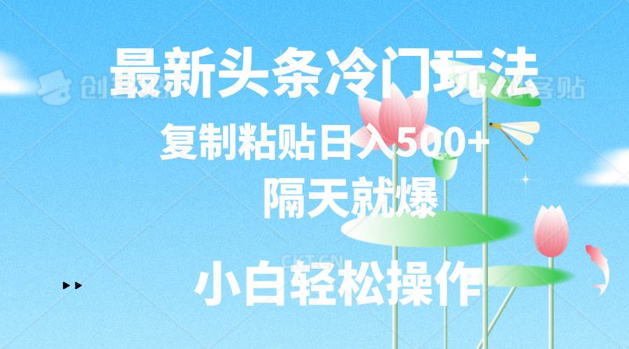 最新头条冷门玩法，隔天就爆，复制粘贴日入500+-九章网创