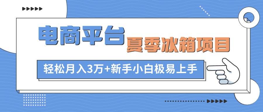 电商平台夏季冰箱项目，轻松月入3万+，新手小白极易上手-九章网创