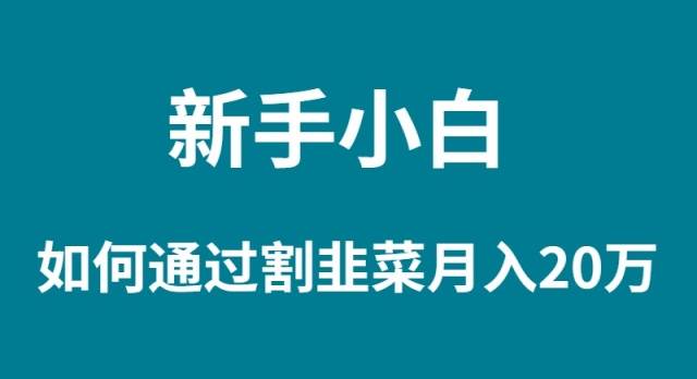 新手小白如何通过割韭菜月入 20W-九章网创