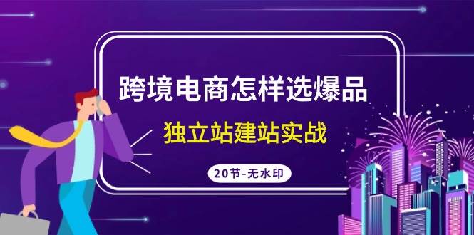 跨境电商怎样选爆品，独立站建站实战（20节高清无水印课）-九章网创