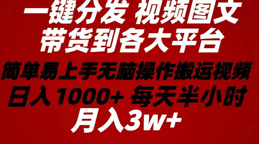 2024年 一键分发带货图文视频  简单易上手 无脑赚收益 每天半小时日入1…-九章网创