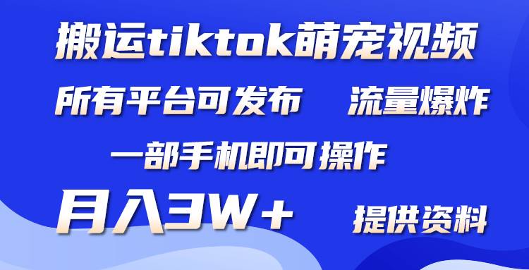 搬运Tiktok萌宠类视频，一部手机即可。所有短视频平台均可操作，月入3W+-九章网创