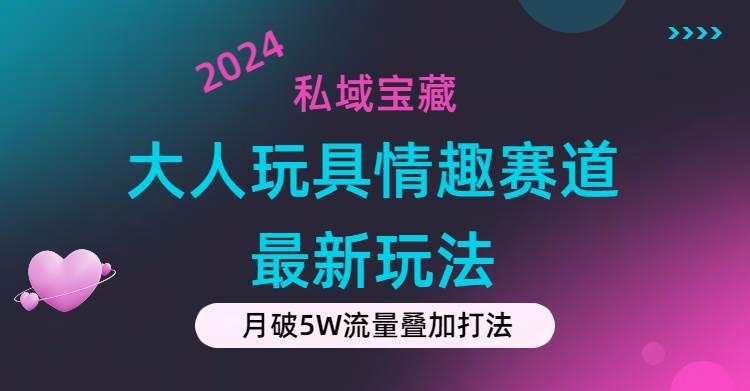 私域宝藏：大人玩具情趣赛道合规新玩法，零投入，私域超高流量成单率高-九章网创