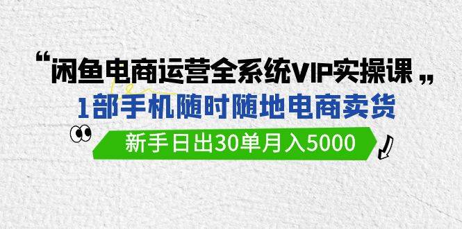 闲鱼电商运营全系统VIP实战课，1部手机随时随地卖货，新手日出30单月入5000-九章网创