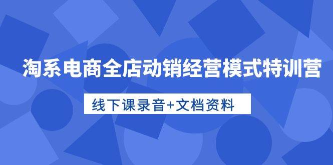 淘系电商全店动销经营模式特训营，线下课录音+文档资料-九章网创