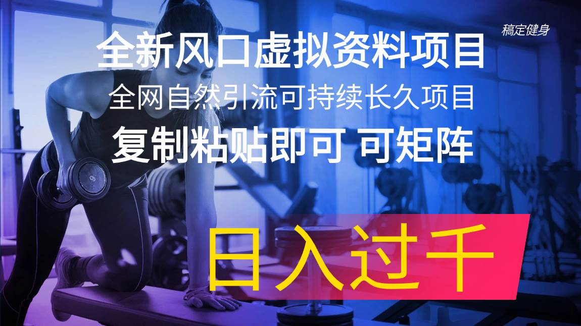 全新风口虚拟资料项目 全网自然引流可持续长久项目 复制粘贴即可可矩阵…-九章网创