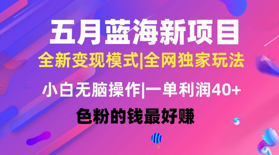 五月蓝海项目全新玩法，小白无脑操作，一天几分钟，矩阵操作，月入4万+-九章网创