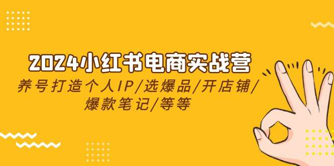 2024小红书电商实战营，养号打造IP/选爆品/开店铺/爆款笔记/等等（24节）-九章网创