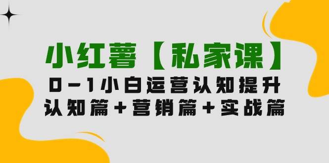 小红薯【私家课】0-1玩赚小红书内容营销，认知篇+营销篇+实战篇（11节课）-九章网创