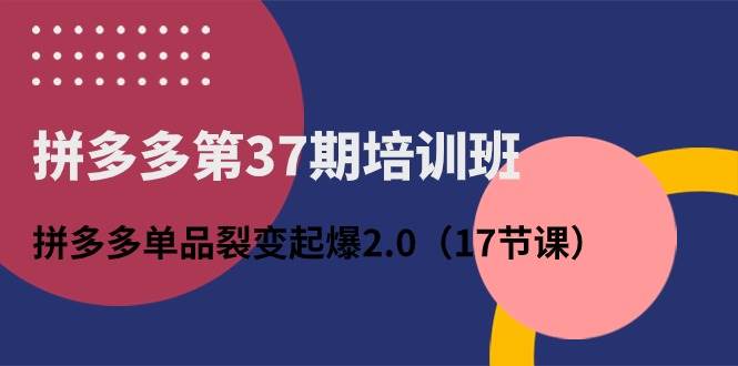 拼多多第37期培训班：拼多多单品裂变起爆2.0（17节课）-九章网创