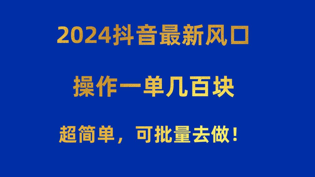 2024抖音最新风口！操作一单几百块！超简单，可批量去做！！！-九章网创