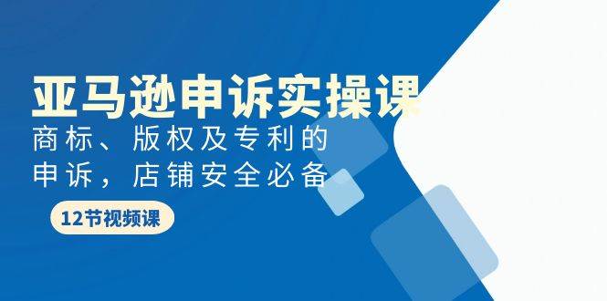 亚马逊-申诉实战课，商标、版权及专利的申诉，店铺安全必备-九章网创