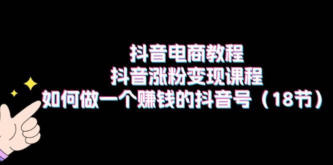 抖音电商教程：抖音涨粉变现课程：如何做一个赚钱的抖音号（18节）-九章网创