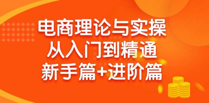 电商理论与实操从入门到精通 新手篇+进阶篇-九章网创