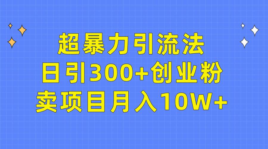 超暴力引流法，日引300+创业粉，卖项目月入10W+-九章网创