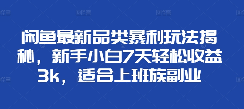 闲鱼最新品类暴利玩法揭秘，新手小白7天轻松赚3000+，适合上班族副业-九章网创