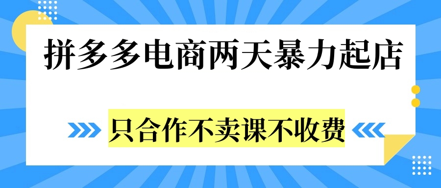 拼多多两天暴力起店，只合作不卖课不收费-九章网创