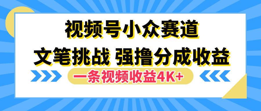 视频号小众赛道，文笔挑战，一条视频收益4K+-九章网创