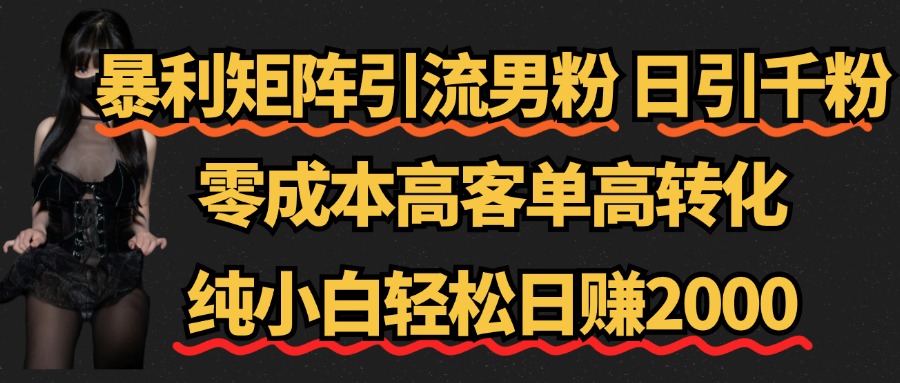 暴利矩阵引流男粉（日引千粉），零成本高客单高转化，纯小白轻松日赚2000+-九章网创