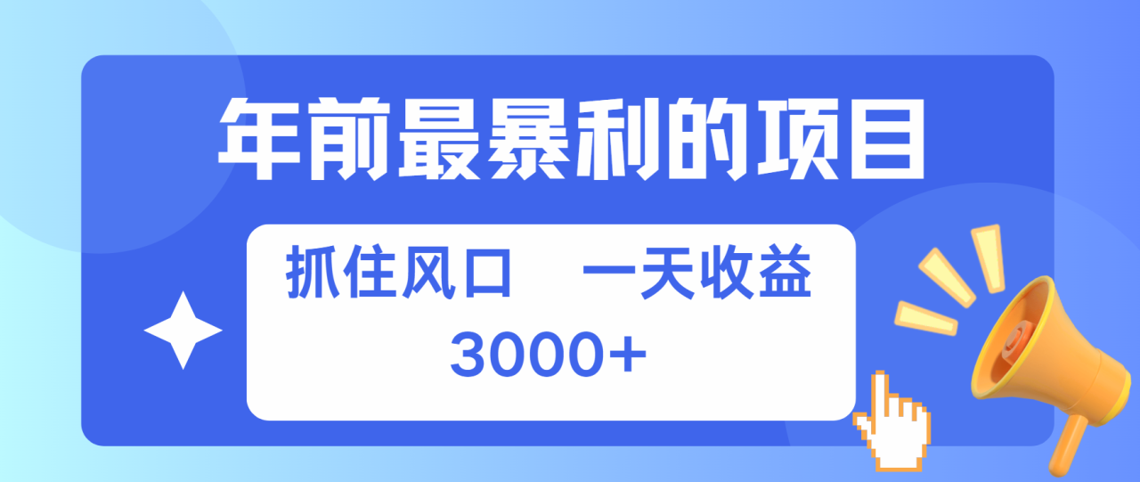 年前最赚钱的项目之一，可以过个肥年-九章网创