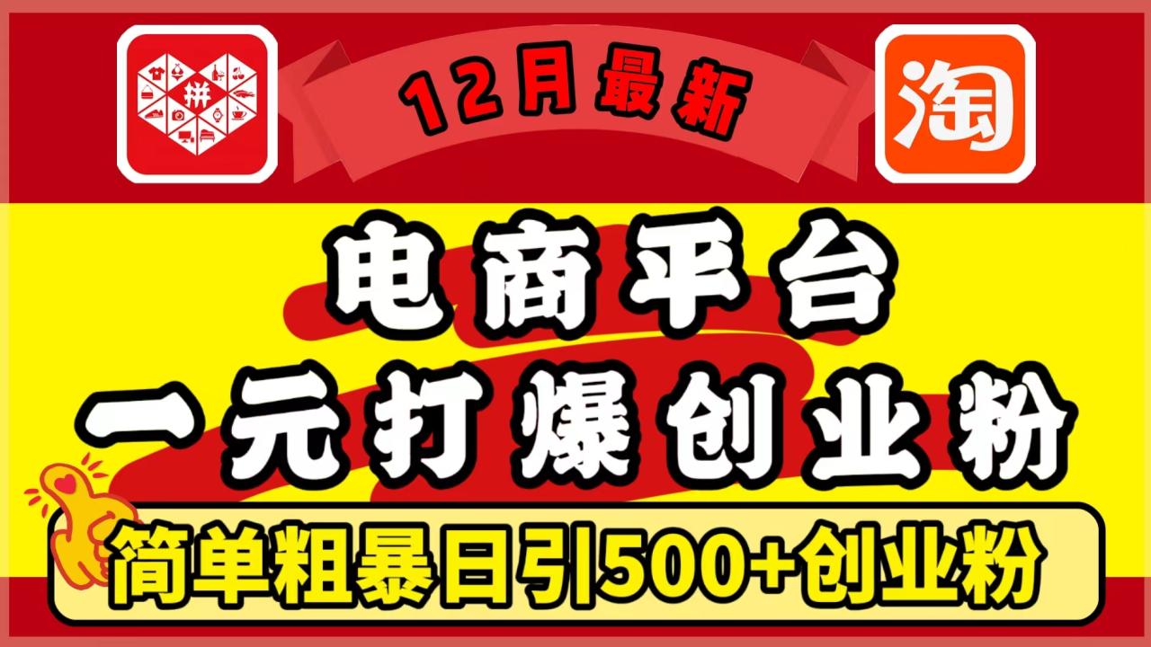 12月最新：电商平台1元打爆创业粉，简单粗暴日引500+精准创业粉，轻松月入5万+-九章网创