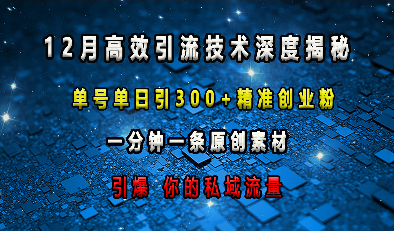 12月高效引流技术深度揭秘 ，单号单日引300+精准创业粉，一分钟一条原创素材，引爆你的私域流量-九章网创