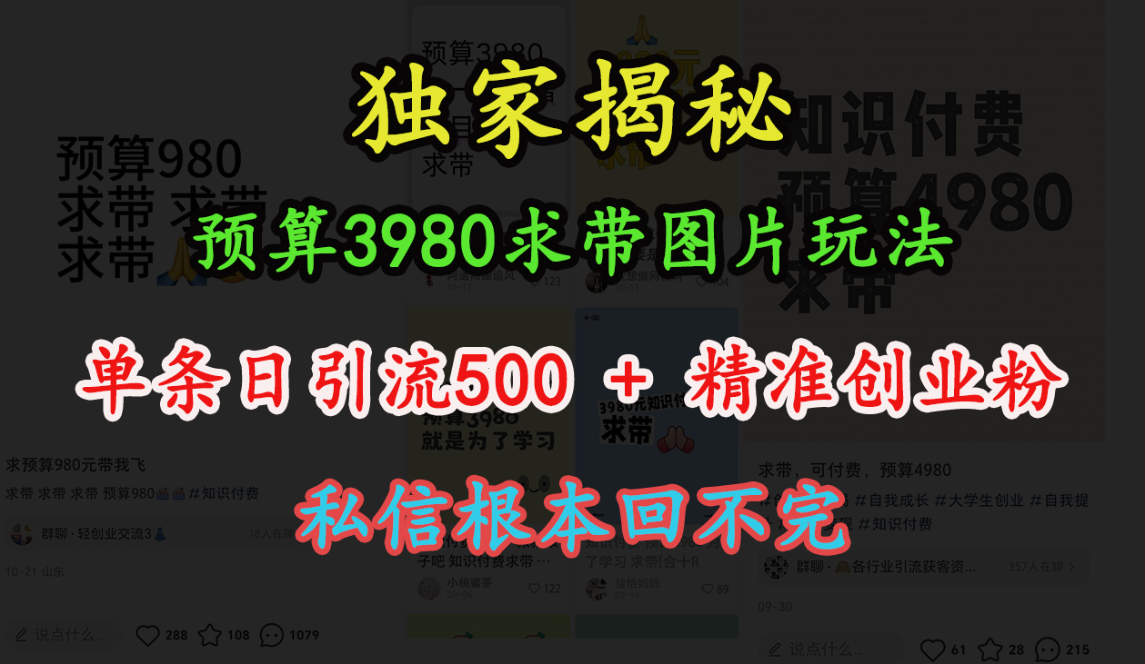 “小红书”预算3980求带 图片玩法，单条日引流500+精准创业粉，私信根本回不完-九章网创