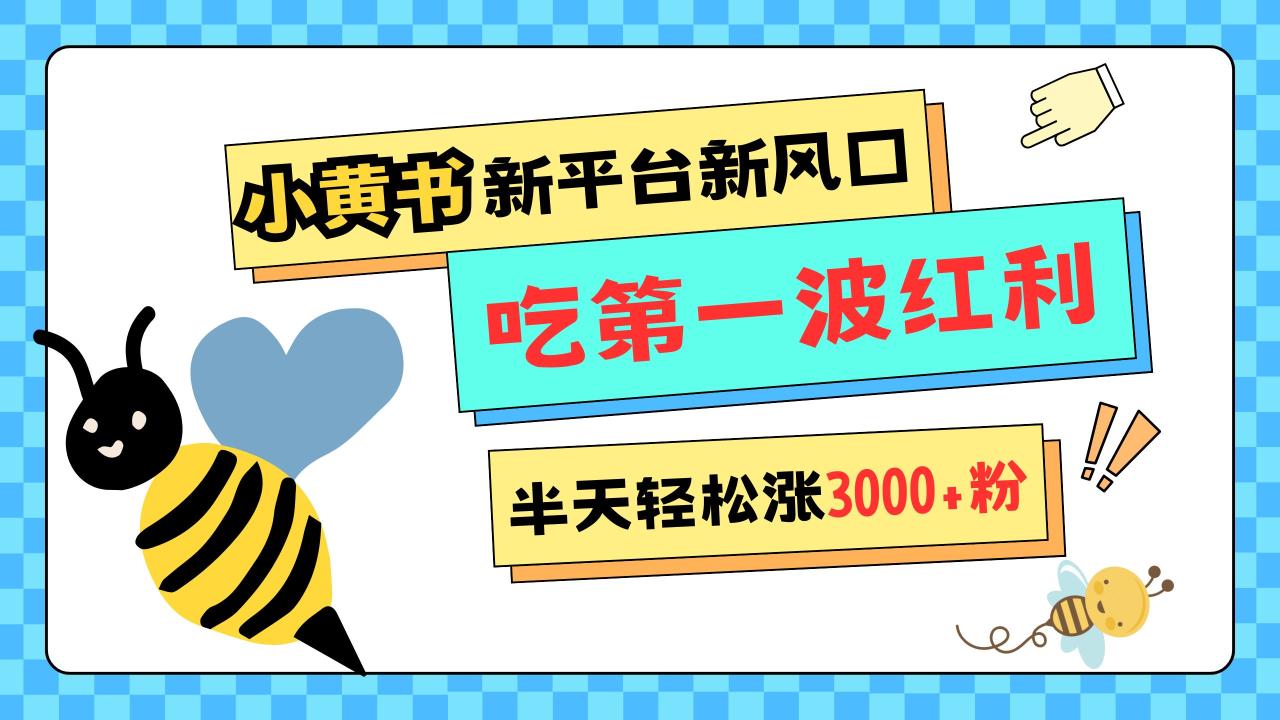 网易版小红书重磅来袭，新平台新风口，管理宽松，半天轻松涨3000粉，第一波红利等你来吃-九章网创