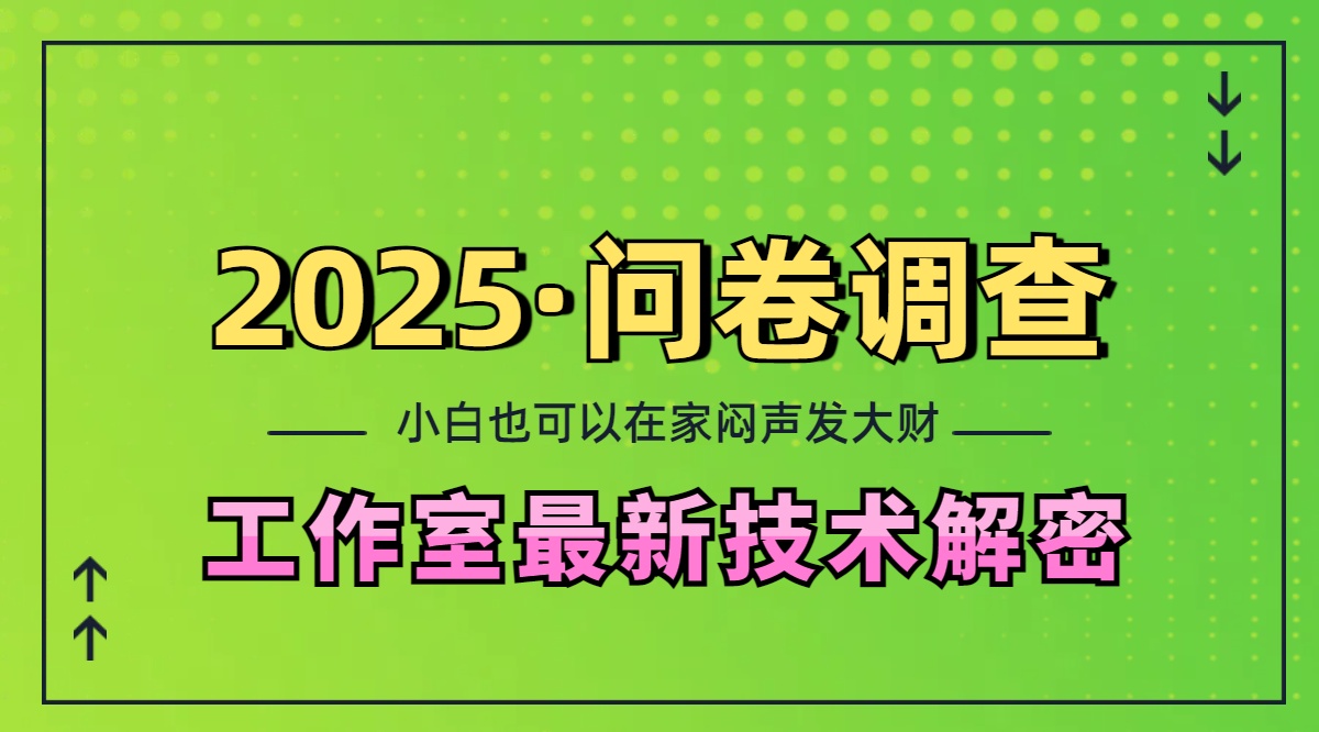 2025《问卷调查》最新工作室技术解密：一个人在家也可以闷声发大财，小白一天200+，可矩阵放大-九章网创