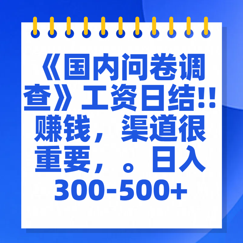 问卷调查答题，一个人在家也可以闷声发大财，小白一天2张，【揭秘】-九章网创