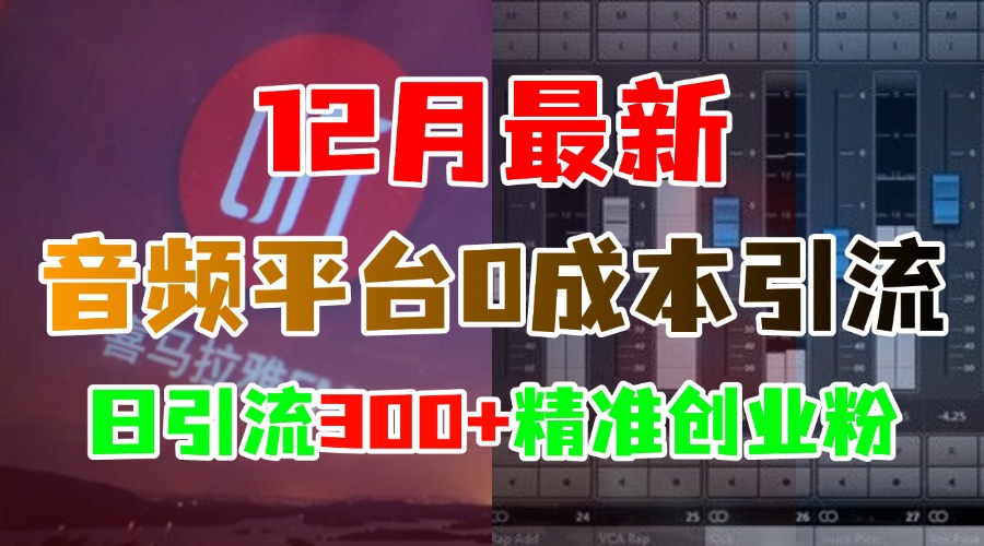 12月最新：音频平台0成本引流，日引300+精准创业粉-九章网创