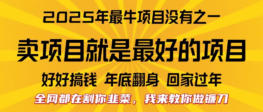 图片[1]-全网都在割你韭菜，我来教你做镰刀。卖项目就是最好的项目，2025年最牛互联网项目-九章网创